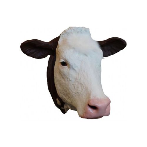 Simulator für die Ausbildung - Veterinary Simulator Industries - für Veterinärmedizin / Rinder / Kopf