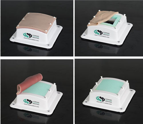 Nahtsimulator - Veterinary Simulator Industries - Notfall / für Krankenpflege / Chirurgie