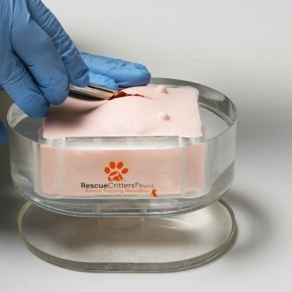 Trainingspuppe für Ovariohysterektomie - 255 - Rescue Critters - für Allgemeinpflege / weiblich / Hund