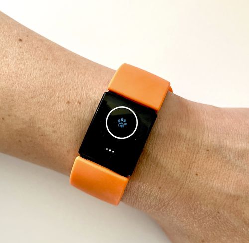 Wearable-Patientenmonitor - Rescue Critters - Blutdruckmessung / SpO2 / Notfall