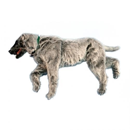 Trainingspuppe für Abdominalchirurgie - EMILY  - Rescue Critters - für Veterinärbehandlung / Baby / von Hund
