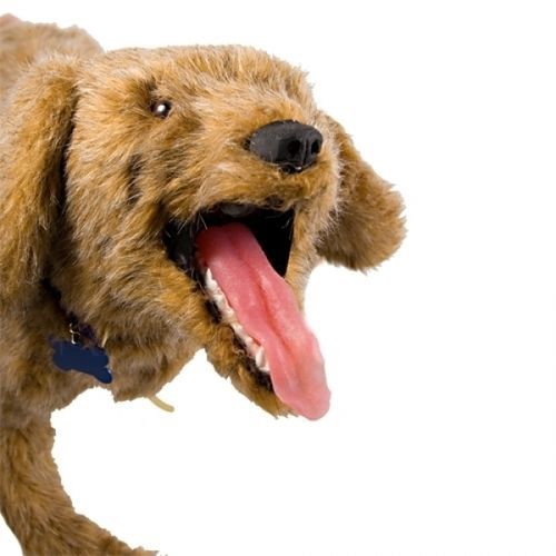 Trainingspuppe für Veterinärmedizin - Jerry K-9 - Rescue Critters - für CPR / Verband / von Hund
