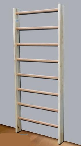 Sprossenwand - 253-8  - Artimex Sport