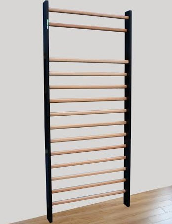 Sprossenwand - 221-Vienna  - Artimex Sport