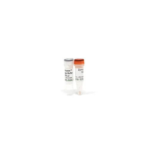Enzyme-Reagenz - Zymolyase - Zymo Research - zur Proteinreinigung / für Immunofluoreszenz / gefriergetrocknet