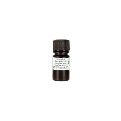 Reagenz / als Lösung - A1004 series - Zymo Research - für die Amplifikationsreaktion / Escherichia coli