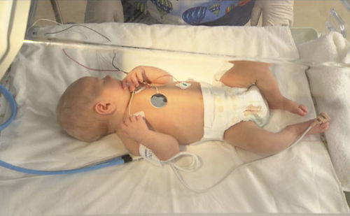Simulationsmodul für Ultraschalluntersuchungen - SIMTICS - Anatomie / für pädiatrische Betreuung / für Kinder
