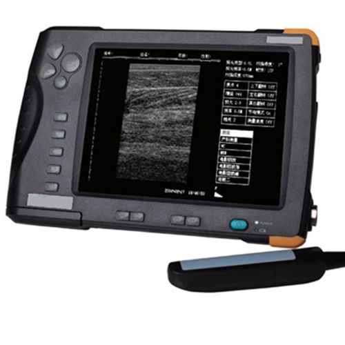 Tragbares Tierärztliches Ultraschallsystem - SIFULTRAS-4.2 - SIFSOF - Multifunktion / für Großtiere / für Haustiere