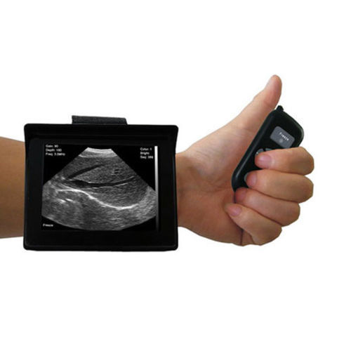 Tragbares Tierärztliches Ultraschallsystem - SIFULTRAS-4.3 - SIFSOF - Multifunktion / für Kleintiere / für Großtiere