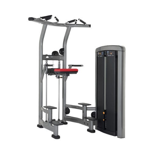 Kraftstation / Dips im Sitzen - INSIGNIA - Life Fitness