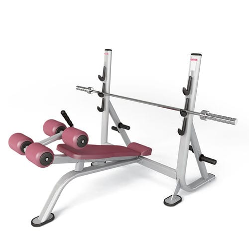 Invers-Kraftbank - FIT EVO 1fe206 - Panatta - mit Hantelscheibenablage
