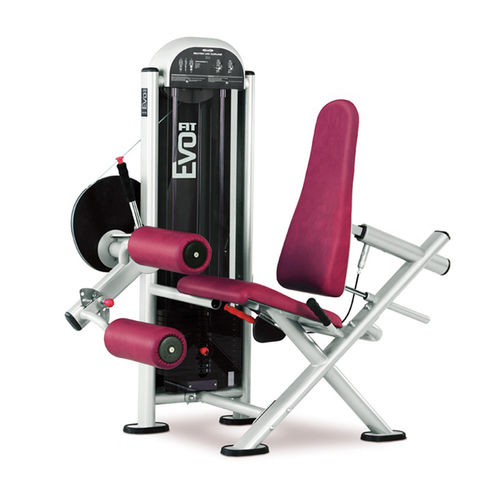 Bein-Curl-Kraftstation - FIT EVO 1FE083 - Panatta