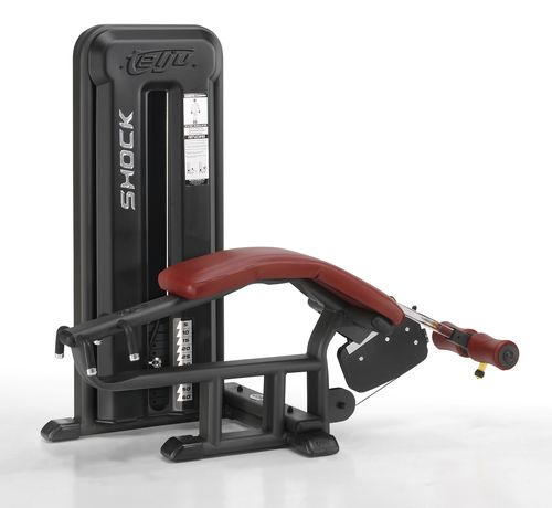 Kraftstation / Curl mit gestrecktem Bein - 4SHO051/0 - Telju Fitness