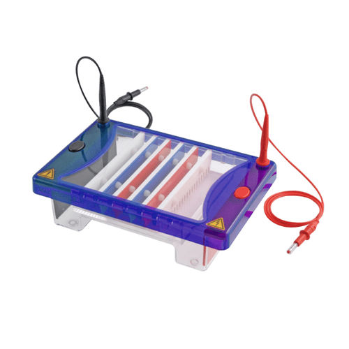 Elektrophoresesystem / Tischgerät - ConcertoGEL  - Hercuvan - horizontal
