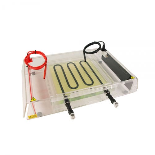 Elektrophoresesystem mit isoelektrischer Fokussierung - SymphonyIEF - Hercuvan - Tisch / horizontal