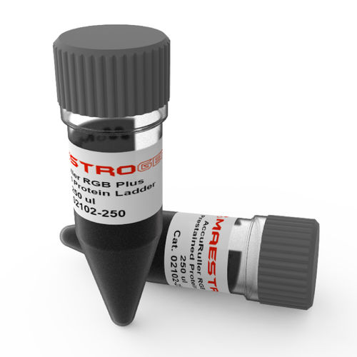Ladepuffer-Reagenz - AccuRuler RGB Plus - Maestrogen - Proteinskala / für Elektrophorese