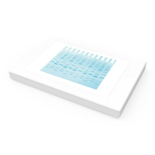 LED-Panel / Labor - SlimWhite - Maestrogen