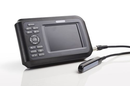 Ultraschall-Handgerät - DP-20A - Promed Technology - für Multifunktions-Ultraschall / für Ultraschalldiagnostik in Gynäkologie und Geburtshilfe / für Kardiologie