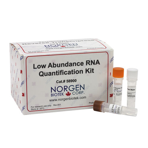 Reagenzkit zur RNS-Quantifizierung - 58900 - Norgen Biotek - als Lösung / für Echtzeit-PCR / flüssig