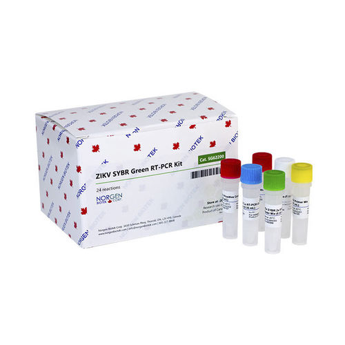 Testkit / Neisseria gonorrhea - TM309 series - Norgen Biotek - für Forschungszwecke / für Infektionskrankheiten / Viren