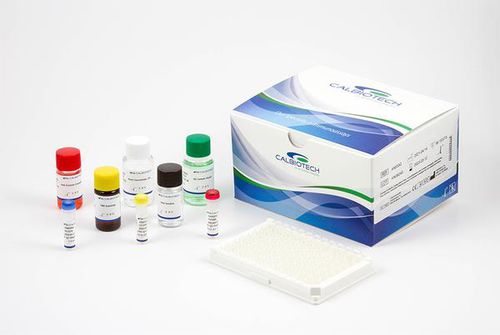 Reagenzkit / als Lösung - GL345N - Calbiotech - für Forschungszwecke / für ELISA / menschliche Herkunft