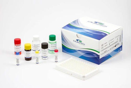 Reagenzkit / als Lösung - PK346N - Calbiotech - für Forschungszwecke / für ELISA