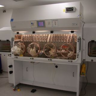 Isolator für Keimfreiheitstests - Envair - Klasse III / für die Pharmaindustrie / für die Probennahme
