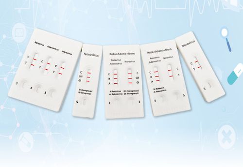 Schnelltest für Magen-Darm-Krankheiten - INRV-C61 - Hangzhou Biotest Biotech Co. Ltd. - zur Genotypisierung / Norovirus / Rotaviren
