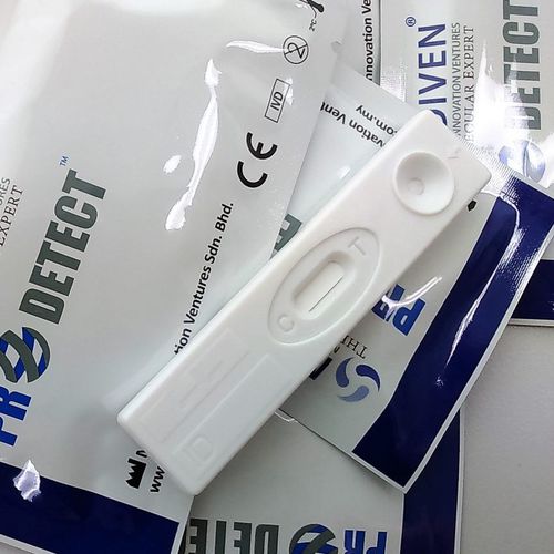 Schnelltest für Infektionskrankheiten - ProDetect™ PR-CHIK - Medical Innovation Ventures - Zikavirus / Chikungunya / IgG