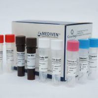 Denguefieber-Testkit - GenoAmp® GRA2010 - Medical Innovation Ventures - Zikavirus / Chikungunya / Serum