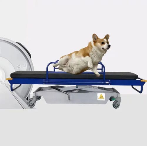 Fahrtrage für IRM - HO-709-2 - Hongkong Medi - hydraulisch / höhenverstellbar / für Veterinärmedizin