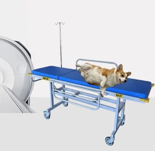 Fahrtrage für IRM - HO-708A-3 - Hongkong Medi - manuell / für Veterinärmedizin / mit Infusionsständer