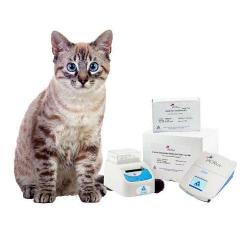 Testkit für Veterinärmedizin - PCRun® - Biogal – Galed Laboratories - für Tiere / Lateral-Flow / molekular