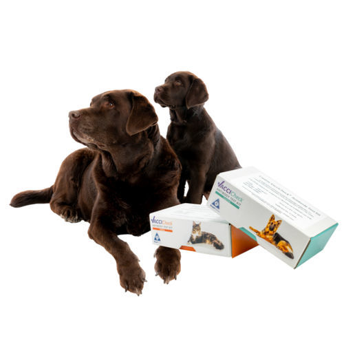 Testkit für Veterinärmedizin - VacciCheck - Biogal – Galed Laboratories - für Hunde / für Katzen / für Antikörper