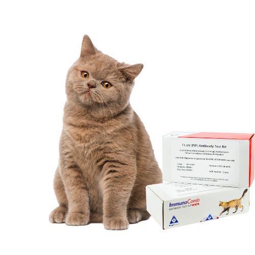 Testkit für Infektionskrankheiten - ImmunoComb - Biogal – Galed Laboratories - für Veterinärmedizin / Störfestigkeit / für Tiere