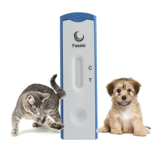 Schnelltest für Infektionskrankheiten - CORONA - Fassisi, Gesellschaft für Veterinärdiagnostik und Umweltanalysen mbH - für Katzen / für Hunde / Coronavirus