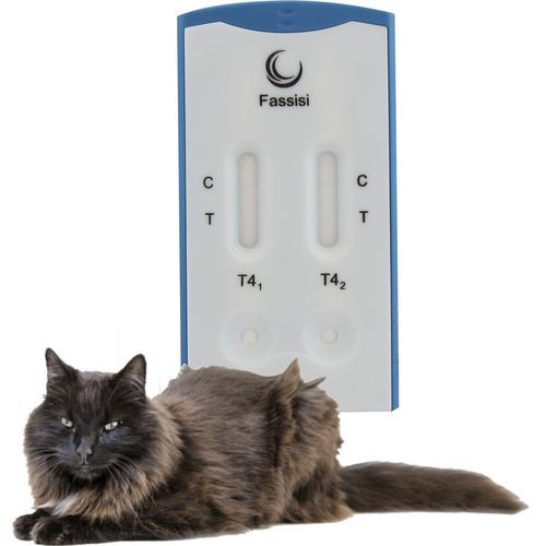 Schnelltest für Schilddrüsenerkrankungen - T4 - Fassisi, Gesellschaft für Veterinärdiagnostik und Umweltanalysen mbH - für Veterinärmedizin / für Katzen / Serum