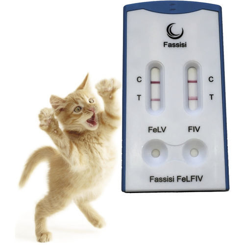 Schnelltest für Katzenleukämie - FELFIV - Fassisi, Gesellschaft für Veterinärdiagnostik und Umweltanalysen mbH - AIDS / für Katzen / Protein