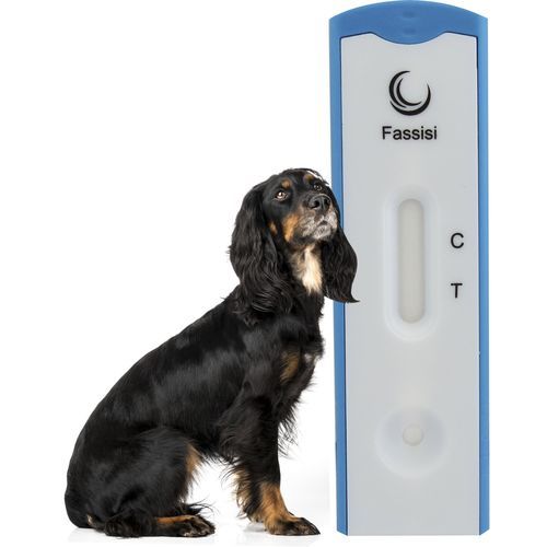 Schnelltest für Dirofilariose - CANDIRO - Fassisi, Gesellschaft für Veterinärdiagnostik und Umweltanalysen mbH - für Hunde / Dirofilaria / Serum