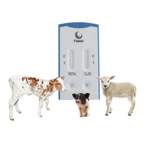 Schnelltest für Diarrhoe - PiDia light - Fassisi, Gesellschaft für Veterinärdiagnostik und Umweltanalysen mbH - für Infektionskrankheiten / für Ferkel / für Ziegen