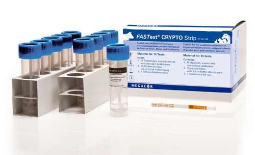 Schnelltest für Diarrhoe - FASTest® CRYPTO - MEGACOR Diagnostik - für Veterinärmedizin / Antigene / Blei