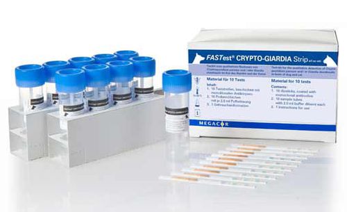 Schnelltest für Giardiasis - FASTest® CRYPTO-GIARDIA - MEGACOR Diagnostik - für Veterinärmedizin / Cryptosporidium / Exkremente