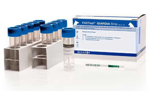 Schnelltest für Giardiasis - FASTest® - MEGACOR Diagnostik - Antigene / Exkremente / immunochromatographisch