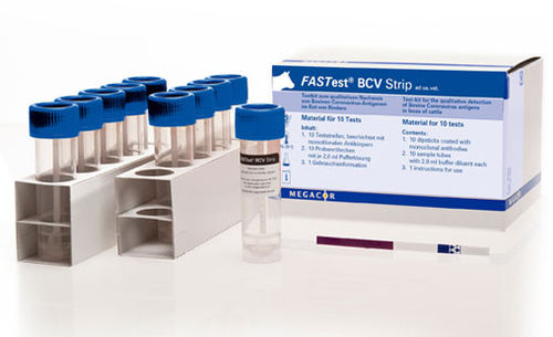 Schnelltest für Magen-Darm-Krankheiten - FASTest® BCV - MEGACOR Diagnostik - für Rinder / Coronavirus / Exkremente