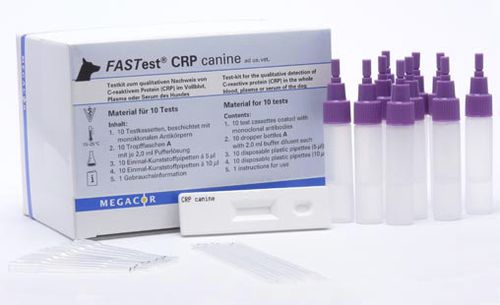 Schnelltest für Entzündungskrankheiten - FASTest® CRP - MEGACOR Diagnostik - für Hunde / CRP / Serum