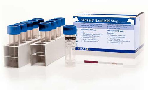Schnelltest für Diarrhoe - FASTest® E.coli-K99 - MEGACOR Diagnostik - für Rinder / Antigene / Blei