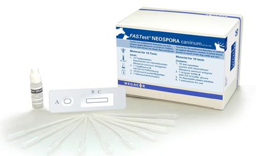 Schnelltest / Neospora caninum - FASTest® NEOSPORA - MEGACOR Diagnostik - für Infektionskrankheiten / für Veterinärmedizin / Serum