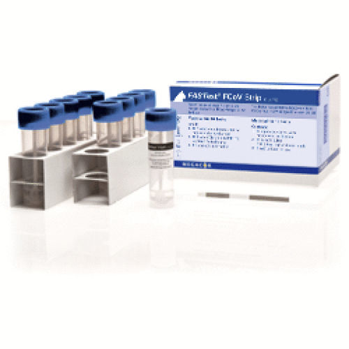 Schnelltest für Infektionskrankheiten - FASTest® FCoV - MEGACOR Diagnostik - für Katzen / Coronavirus / Coronavirus bei Katzen