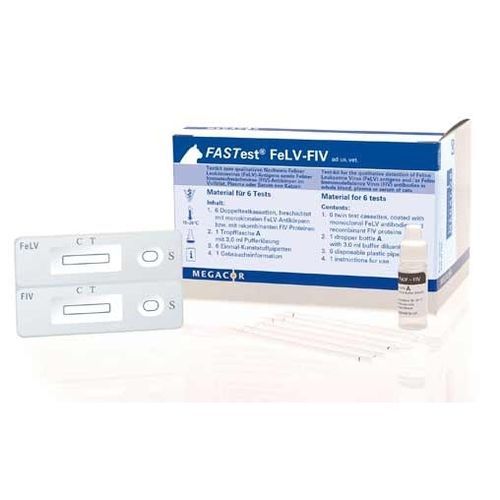 Schnelltest für Katzenleukämie - FASTest® FeLV-FIV - MEGACOR Diagnostik - für Katzen / Antigene / FIV