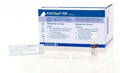 Schnelltest für Infektionskrankheiten - FASTest® FIP - MEGACOR Diagnostik - für Katzen / für Antikörper / Coronavirus